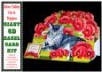 Silver Tabby Cat & Red Poppies - 3D A4 Giant Easel Card Kit