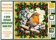 Christmas Robin & Holly Orange 6" Square Decoupage Card Kit