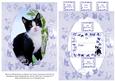 Black and White Kitten Cat Shaker Card, Frame, Sentiments An