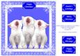 Christmas Kittens Carol Singers 8 x 8 Card Sheet 2