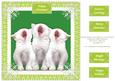Christmas Kittens Carol Singers 8 x 8 Square Card Sheet 3
