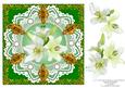 8 x 8 White Lily Flowers Pearls and Vintage Lace Green Card
