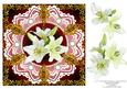 8 x 8 White Lily Flowers Pearls and Vintage Lace Ruby Card