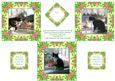 Katy Kitty Cat and Watercolour Rose Toppers and Gift Tag