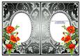 Poppies and Daisies on Gunmetal with Diamonds Double Frames