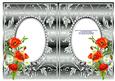 Poppies and Daisies on Silver with Diamonds Double Frames