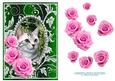 Pink Roses - Tabby Kitty Cat - Silver Green Card Front