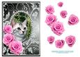 Pink Roses - Tabby Kitty Cat - Silver Gunmetal Card Front