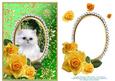 Yellow Roses - White Kitty Cat - Green Card Front
