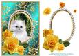 Yellow Roses - White Kitty Cat - Jade Card Front