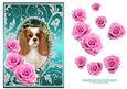 Pink Roses - King Charles Spaniel- Silver Jade Card Front