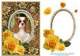 Yellow Roses - King Charles Spaniel - Gold Card Front