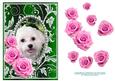 Pink Roses - White Puppy Dog - Silver Green Card Front