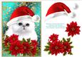 Santa White Kitty Cat and Poinsettia Flowers 3