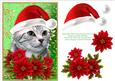 Santa Tabby Kitty Cat and Poinsettia Flowers 1
