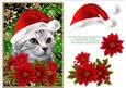 Santa Tabby Kitty Cat and Poinsettia Flowers 3