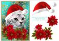 Santa Tabby Kitty Cat and Poinsettia Flowers 4