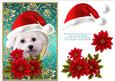 Santa White Puppy Dog Bichon Frise and Poinsettia Flowers 3