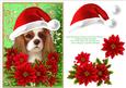 Santa King Charles Spaniel Puppy Dog - Poinsettia Flowers 1