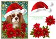 Santa King Charles Spaniel Puppy Dog - Poinsettia Flowers 2