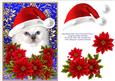 Santa Birman Kitty Cat and Decoupage Poinsettia Flowers 2