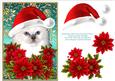 Santa Birman Kitty Cat and Decoupage Poinsettia Flowers 4