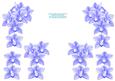 Decoupage for Blue Orchids Double and Single Frames Sheets