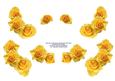Yellow Roses Decoupage for Double and Single Card Frames