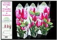 Concertina Red Tulips Dragonflies Over the Edge 3D Card Kit