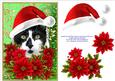Santa Black and White Kitty Cat and Poinsettia Flowers 2