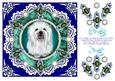 8 x 8 Vintage Lace Shih Tzu Puppy Dog Card Front on Blue