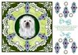 8 x 8 Vintage Lace Shih Tzu Puppy Dog Card Front on Green