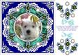 8 x 8 Vintage Lace Westie Puppy Dog Card Front on Blue