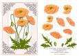 Orange Poppies Card Topper with Decoupage
