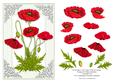 Red Poppies Card Topper with Decoupage