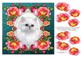 8 x 8 Baby Blue Eyes Kitty Cat & Roses Decoupage Card Topper