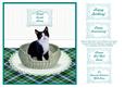 Black & White Kitty Cat in a Basket Card Topper + Greeting