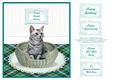 Tabby Kitty Cat in a Basket Card Topper + Greetings