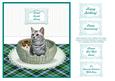 Tabby Kitten & Cat in a Basket Topper Card + Greetings