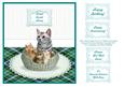 3 x Tabby Kittens & Cat in a Basket Card Topper + Greetings