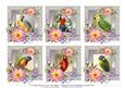 6 x Vintage Parrot Birds Roses & Lace Greetings Toppers