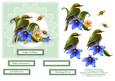 Morning Glory Bird & Bees 6 6 Decoupage Card Topper