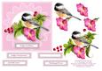 Morning Glory Bird & Berries 6 x 6 Decoupage Card Topper