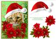 Santa Ginger Kitten Cat & Decoupage Poinsettias Card Topper