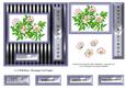 6 x 6 Wild Pink Roses - Decoupage Card Topper