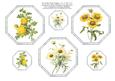 Six Yellow Floral Toppers -three x 4" x 4" & Three x 2" x 2"