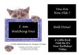 Cat with Chalkboard Messages (2a) Shaped Topper Fits 6" x 6"