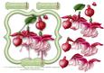 6" x 6" Fuschia Flowers with Decoupage Card Topper