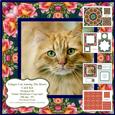 Ginger Cat Among the Roses Card Kit