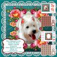 West Highland Terrier Puppy Dog Card Kit